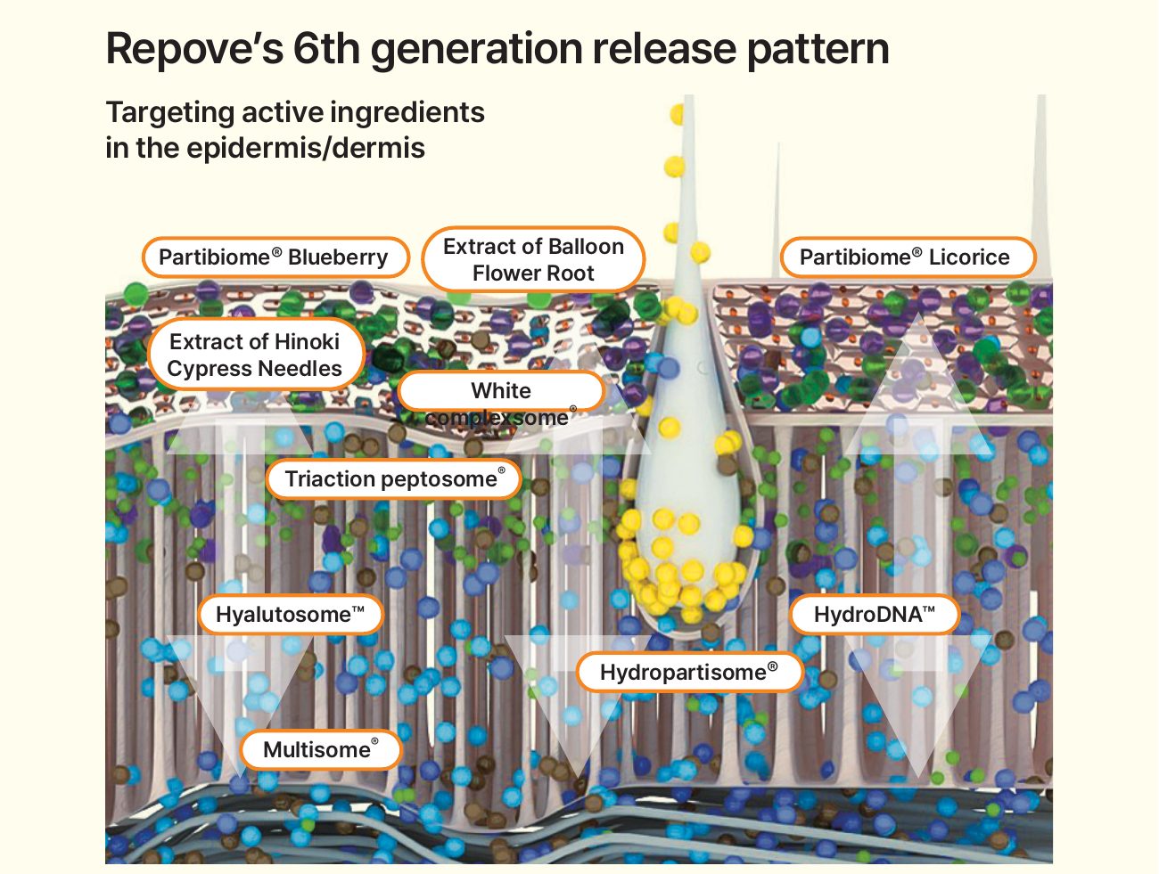 Release pattern of the sixth-generation carriers. According to the company, particle size and structure determine whethe